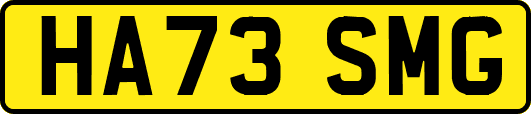 HA73SMG