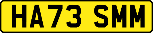 HA73SMM