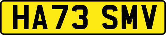 HA73SMV