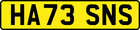 HA73SNS