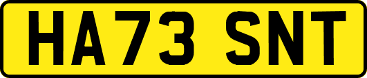HA73SNT