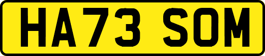HA73SOM