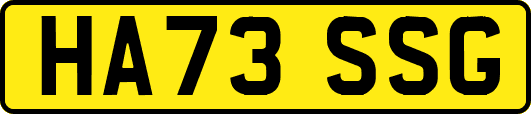 HA73SSG