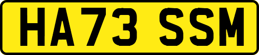 HA73SSM
