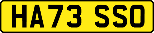 HA73SSO