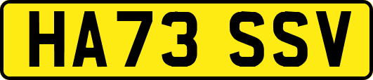 HA73SSV
