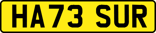HA73SUR