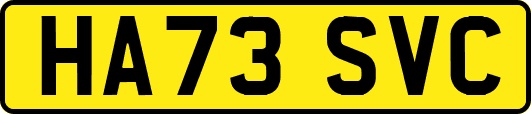 HA73SVC