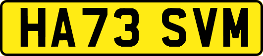 HA73SVM
