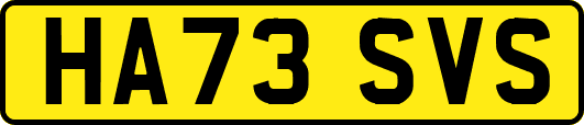 HA73SVS