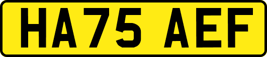 HA75AEF