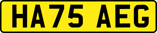 HA75AEG