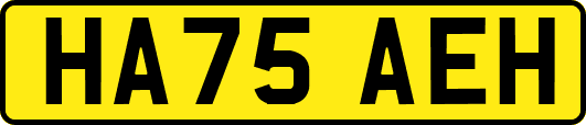 HA75AEH