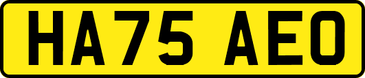 HA75AEO
