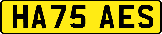 HA75AES