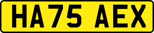 HA75AEX