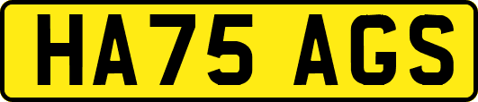 HA75AGS