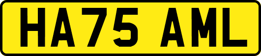 HA75AML
