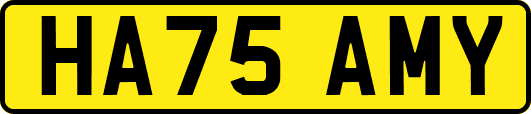 HA75AMY