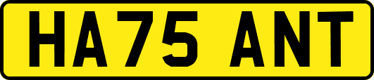 HA75ANT