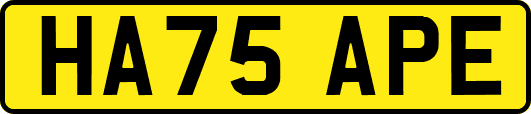 HA75APE
