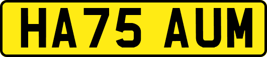 HA75AUM