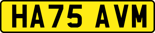 HA75AVM