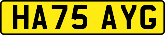 HA75AYG