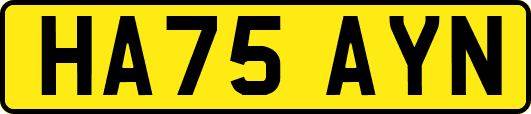 HA75AYN