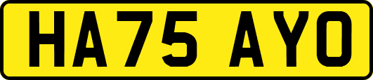 HA75AYO