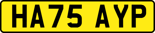 HA75AYP