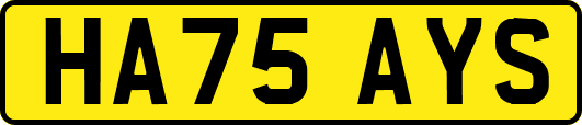 HA75AYS