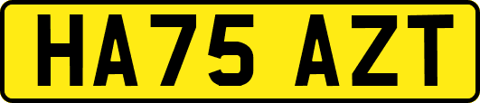 HA75AZT