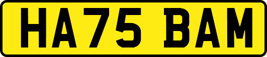 HA75BAM