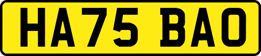 HA75BAO