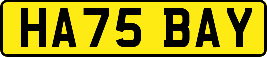 HA75BAY