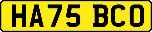 HA75BCO