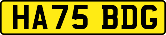 HA75BDG