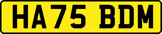 HA75BDM