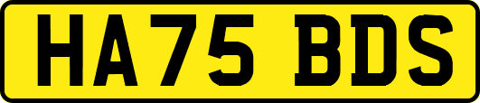 HA75BDS