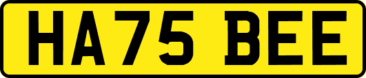 HA75BEE