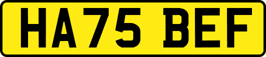 HA75BEF