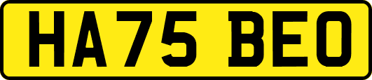 HA75BEO