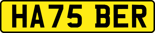 HA75BER