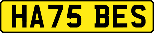 HA75BES