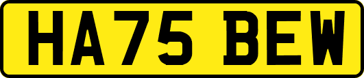 HA75BEW