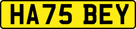 HA75BEY