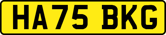 HA75BKG