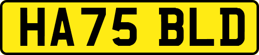 HA75BLD
