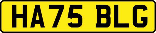 HA75BLG